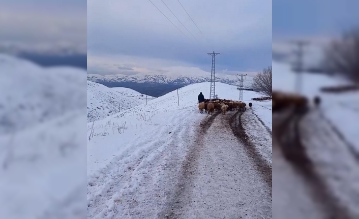 Kar yağışı yüksek kesimlerde etkili oluyor