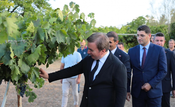 Vali Aydoğdu, tescil işlemleri başlatılmıştır