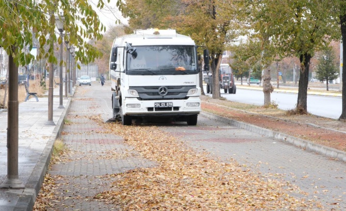 Cadde ve Sokaklarda Sonbahar Temizliği