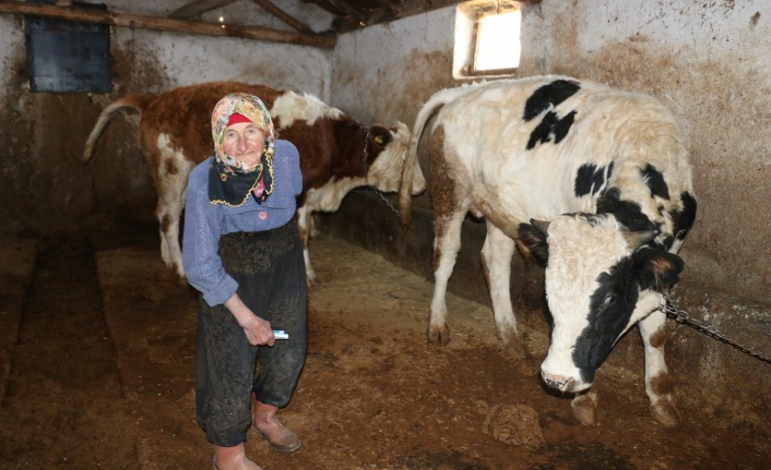 Erzincan’da 79 yaşındaki kadının mücadelesi hayran bıraktırıyor