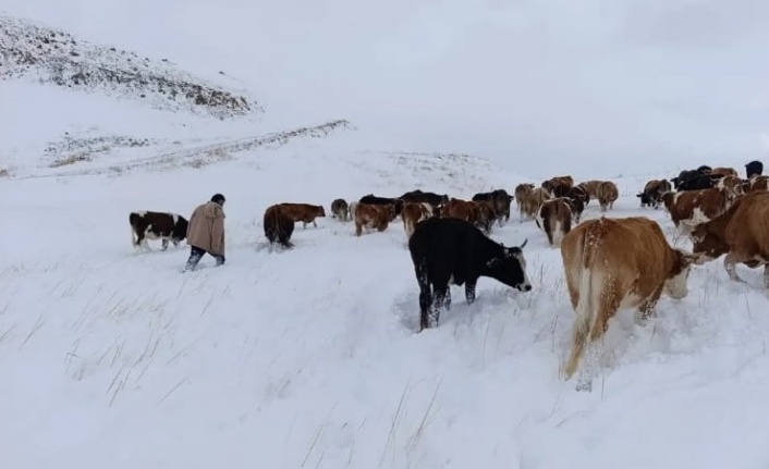 Sürü sahipleri kar ve tipiye yakalandı