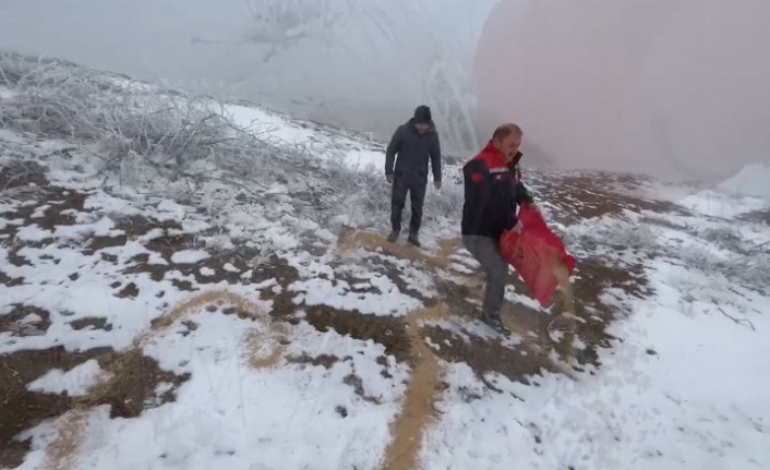 Doğadaki hayvanlara yiyecek bırakılıyor