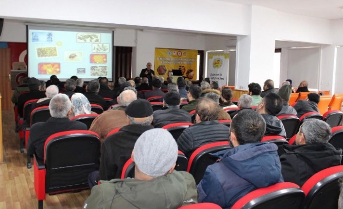 Erzincan'da varroa ile mücadele başladı