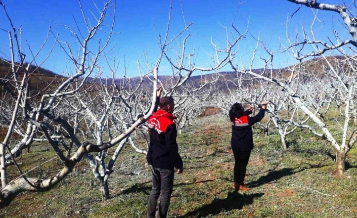 Bordo bulamacı uyarıları geldi