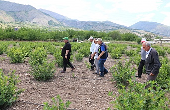 Erzincan’ın tarımsal ürün deseni içerisinde kendine yer buldu