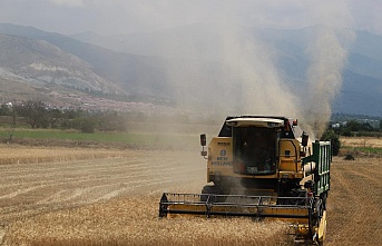 Erzincan’da biçerdöver ile hasat işlemleri başladı