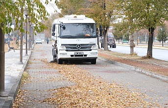 Cadde ve Sokaklarda Sonbahar Temizliği