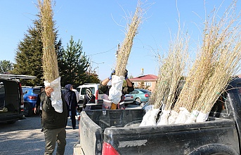 Erzincan'da goji berry yetiştiriciliği başladı