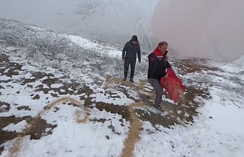 Doğadaki hayvanlara yiyecek bırakılıyor