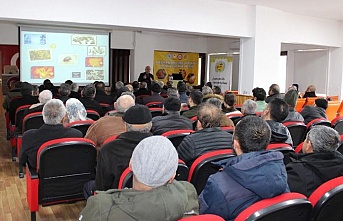 Erzincan'da varroa ile mücadele başladı