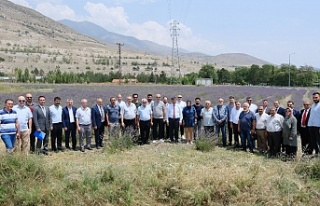 Başkan Aksun ve Meclis Üyeleri; Erzincan’da yatırımlar...