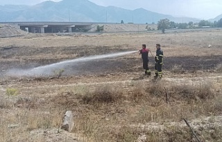 Erzincan’da arazi yangını