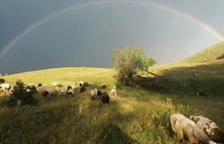 Gökkuşağı güzel görüntüler oluşturdu