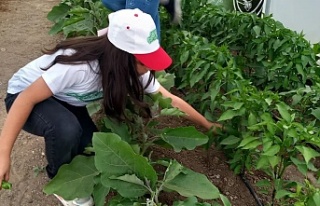 “Okuldaki Çiftlik” Üretime Başladı