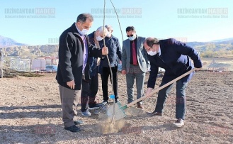 Doğu’nun ‘Ceviz Bahçesi’ büyümeye devam ediyor