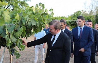 Vali Aydoğdu, tescil işlemleri başlatılmıştır