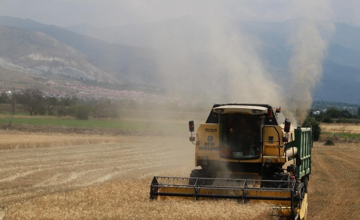 Erzincan’da biçerdöver ile hasat işlemleri başladı